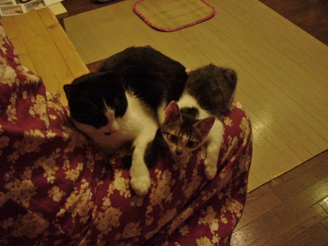 DSC09051.JPG