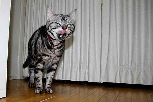 img_cyapi_8742.jpg