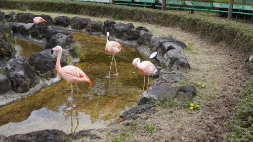 20150420 11283701.JPG