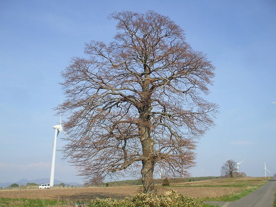 DSCF3206.jpg
