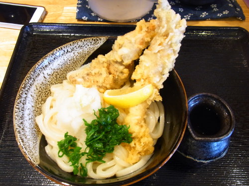 本日のさぬきうどん とり天ぶっかけ温1玉450円（情熱うどん わらく 高松市） | 本日のさぬき？うどん - 楽天ブログ