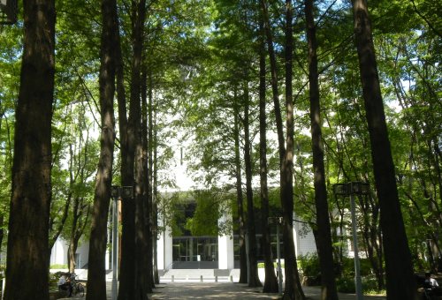 016シンフォニーホール (2).JPG