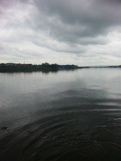 DVC00331.jpg