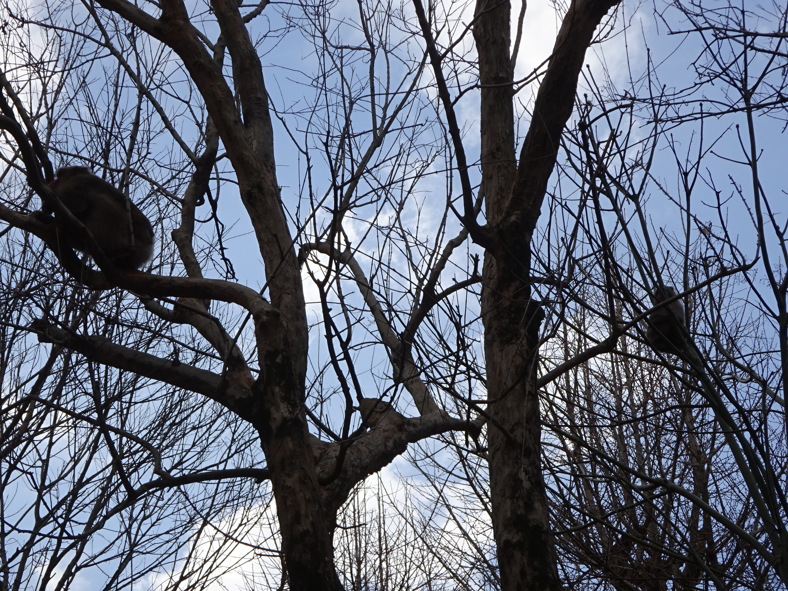 ナンチュウの恋 (9).JPG