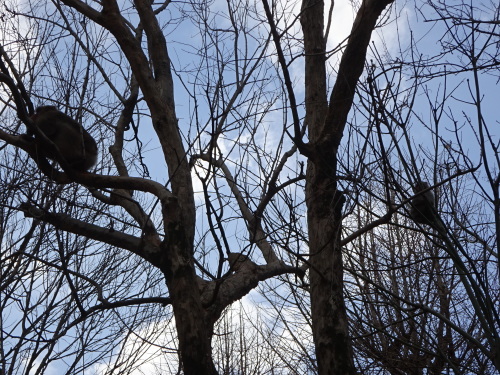 ナンチュウの恋 (9).JPG