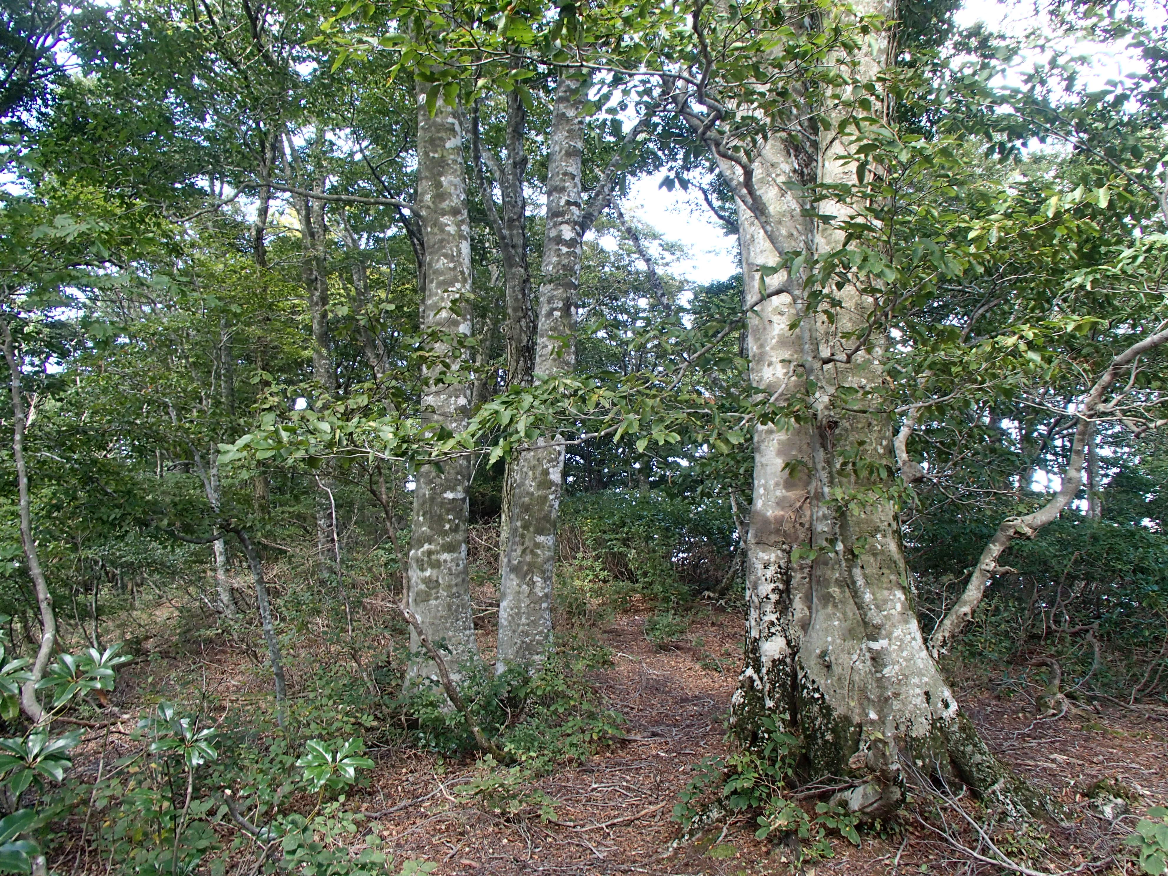 P9210297.JPG