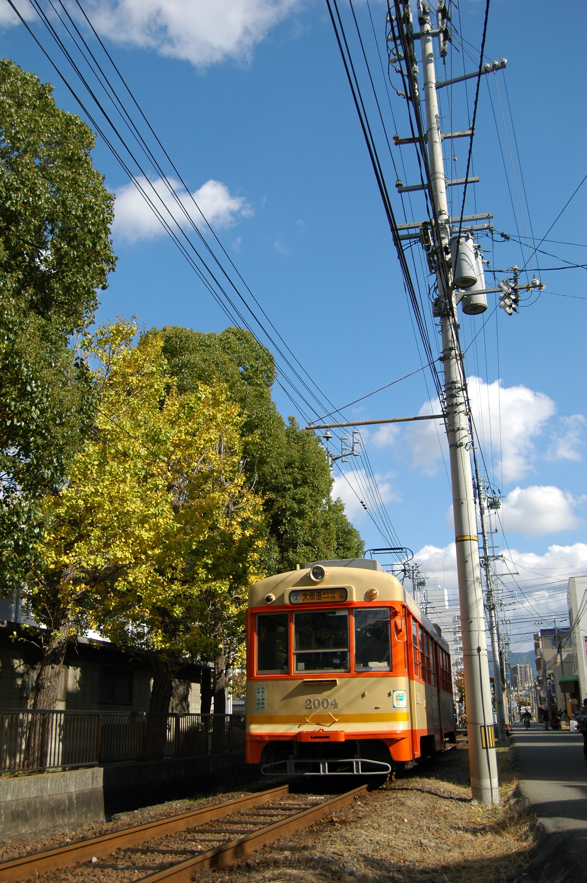 DSC_7181.JPG