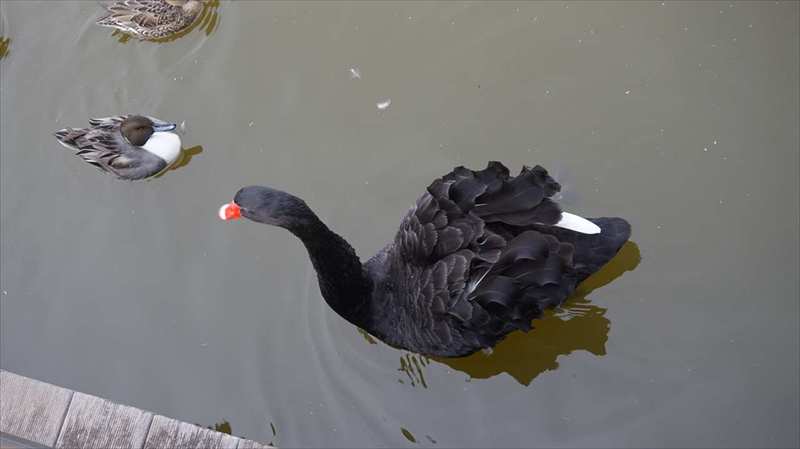 20141120 09433801.JPG