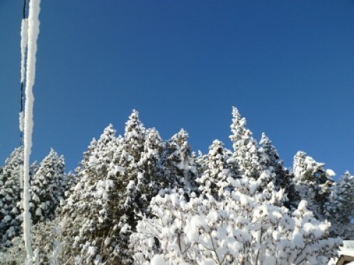 120203雪1.jpg