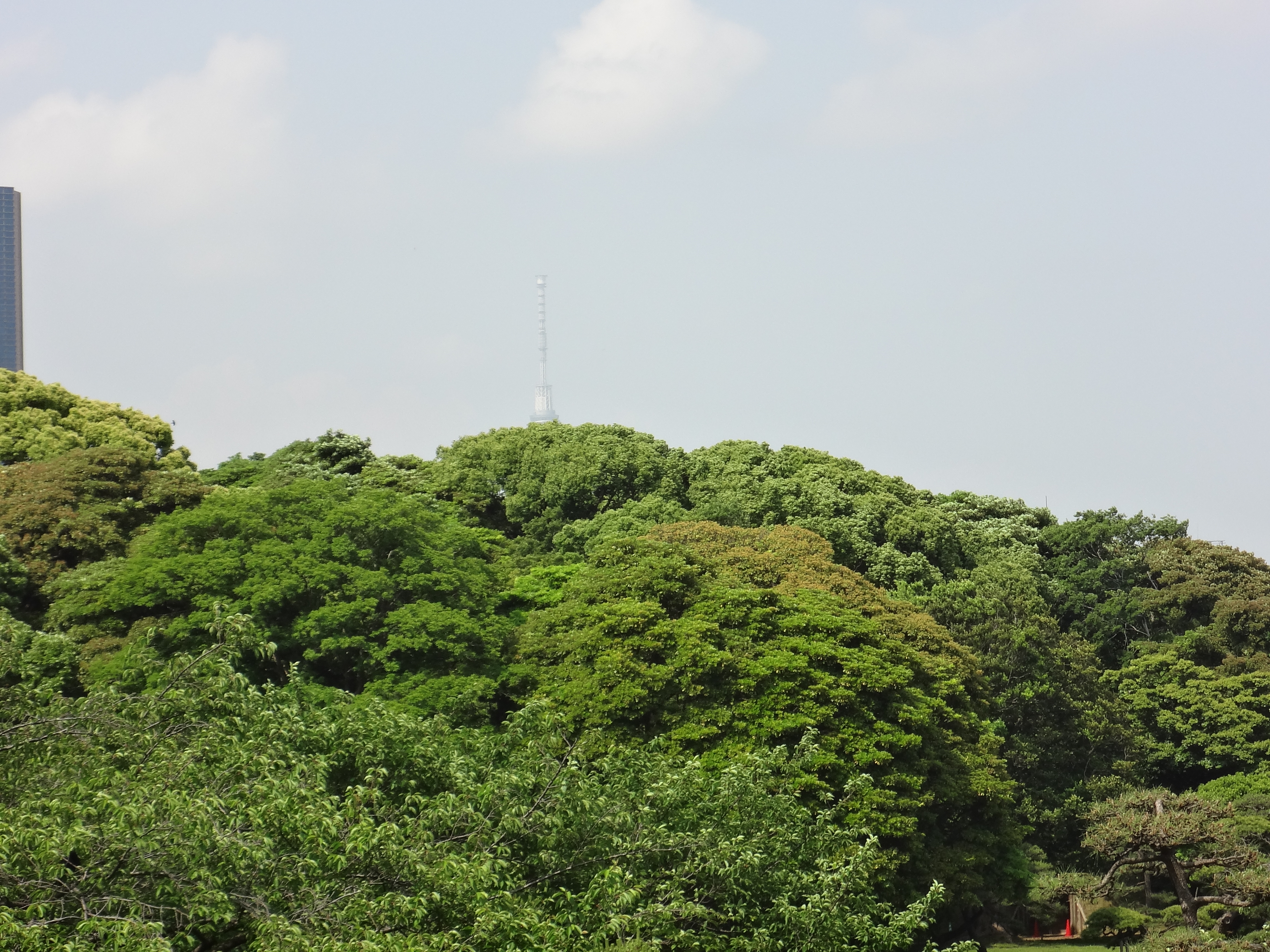 DSC00385.JPG