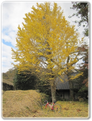 0915安芸高田市小原付近_0915.jpg