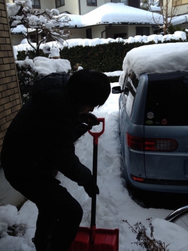 IMG_3850 (480x640).jpg