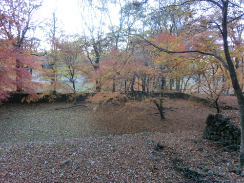 寂光院~鳩吹山 059.JPG