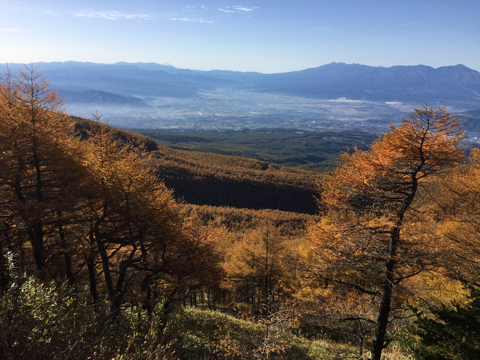 20161026 08172601.JPG