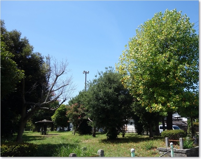 40また公園です