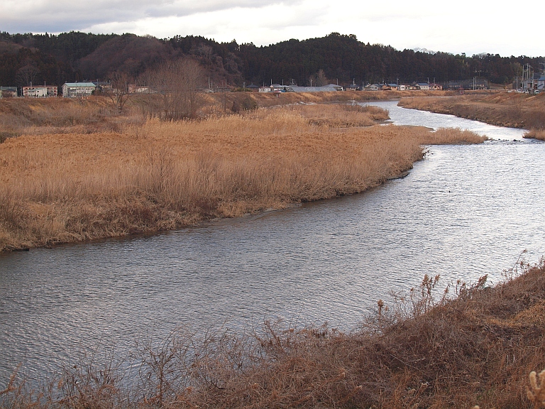 1.28気温高め8.jpg