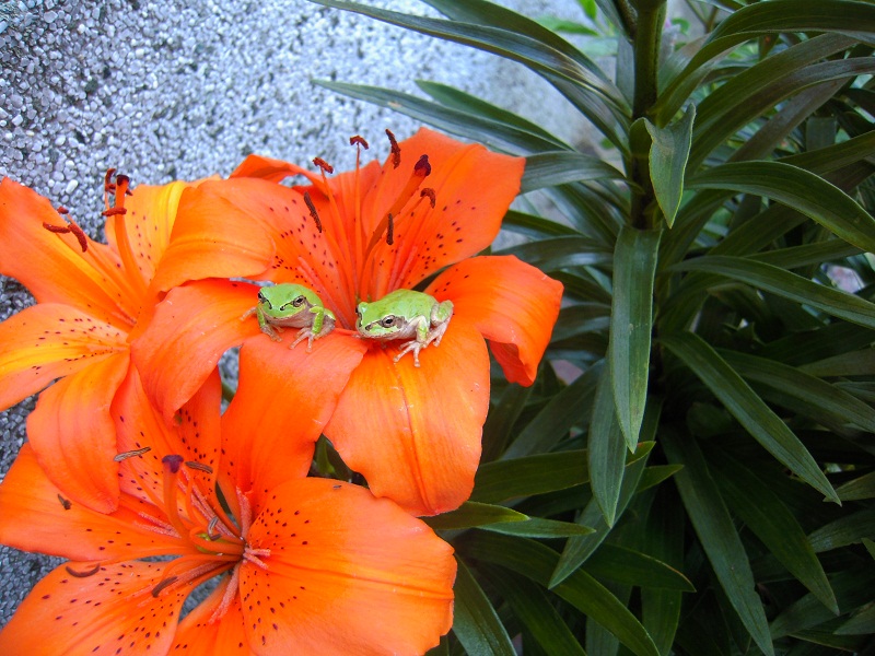DSCN7031.JPG