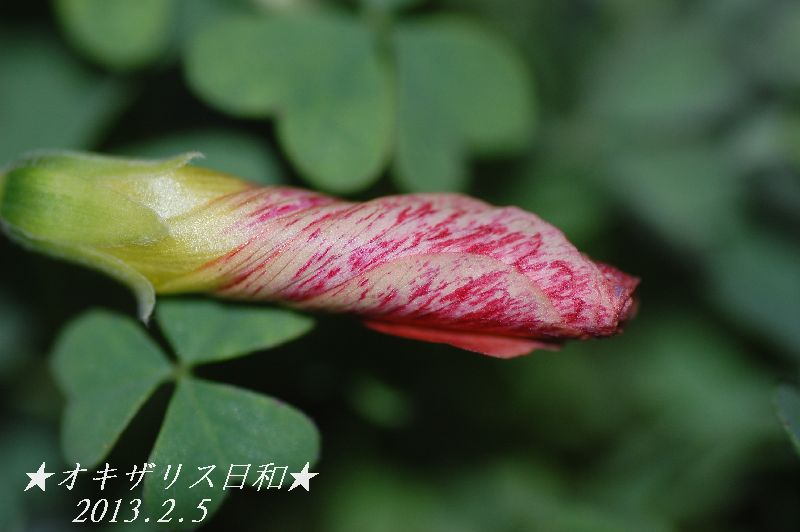 DSC_6285.JPG