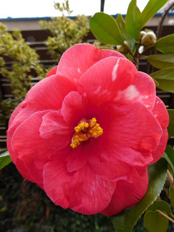 DSCN0305.JPG