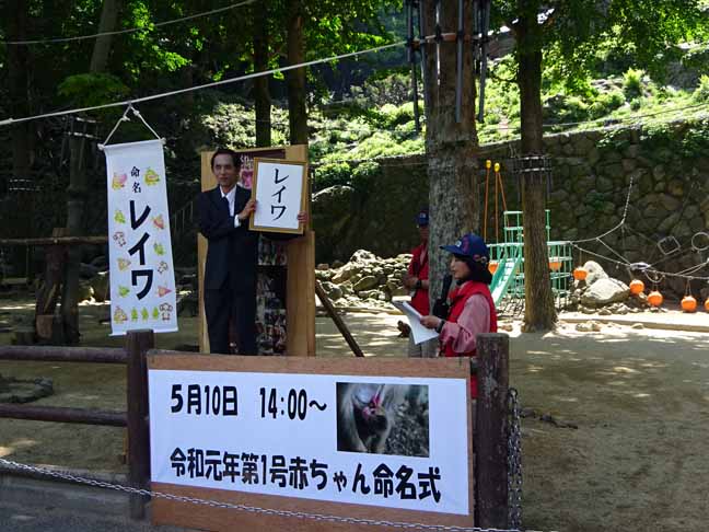 命名　レイワ (6).JPG