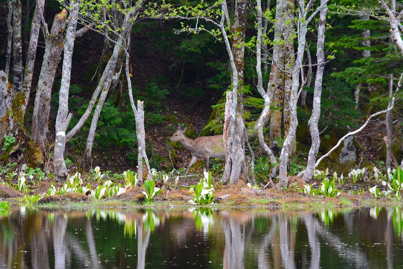 DSC_0406.jpg