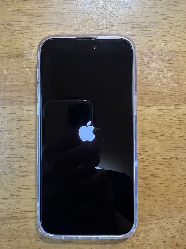 iPhone14ProMax_04_起動.jpg