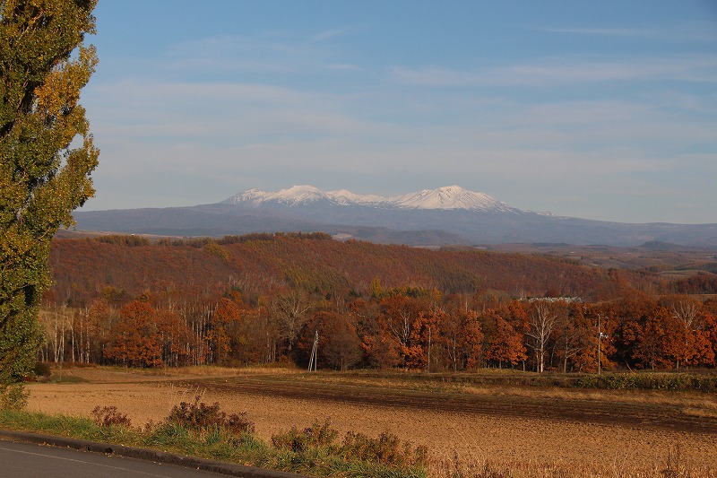 102414美瑛町北西ケンとメリーの木と大雪連邦遠望.jpg
