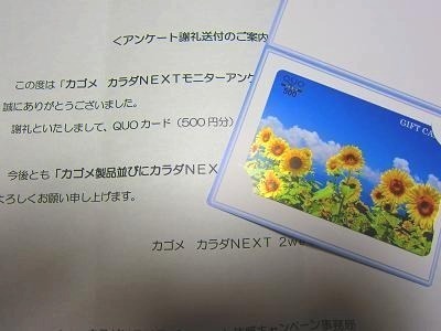 カゴメ
