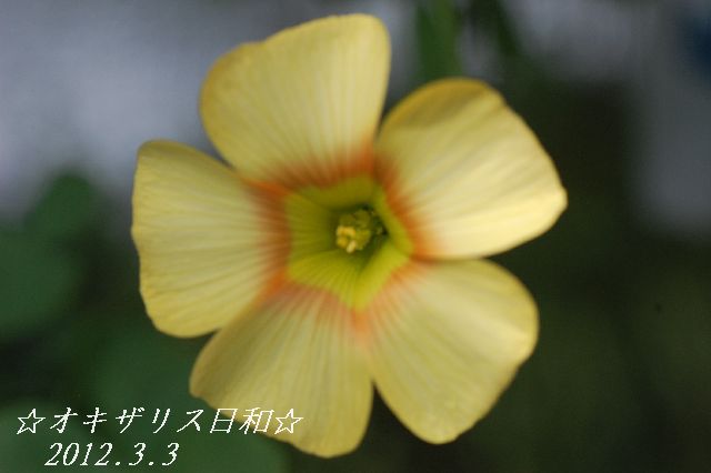 DSC_0080.JPG