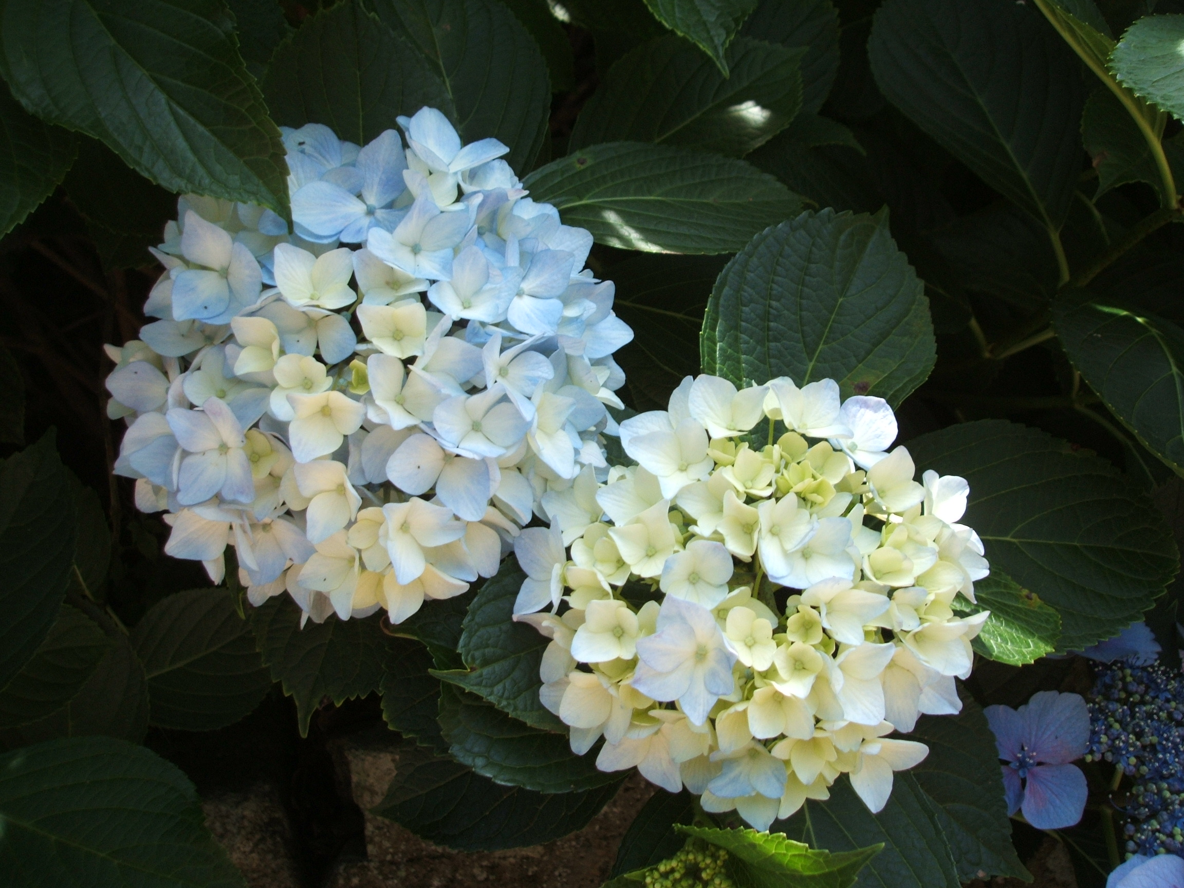 DSCF3632.JPG