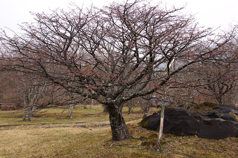 0501-6.jpg
