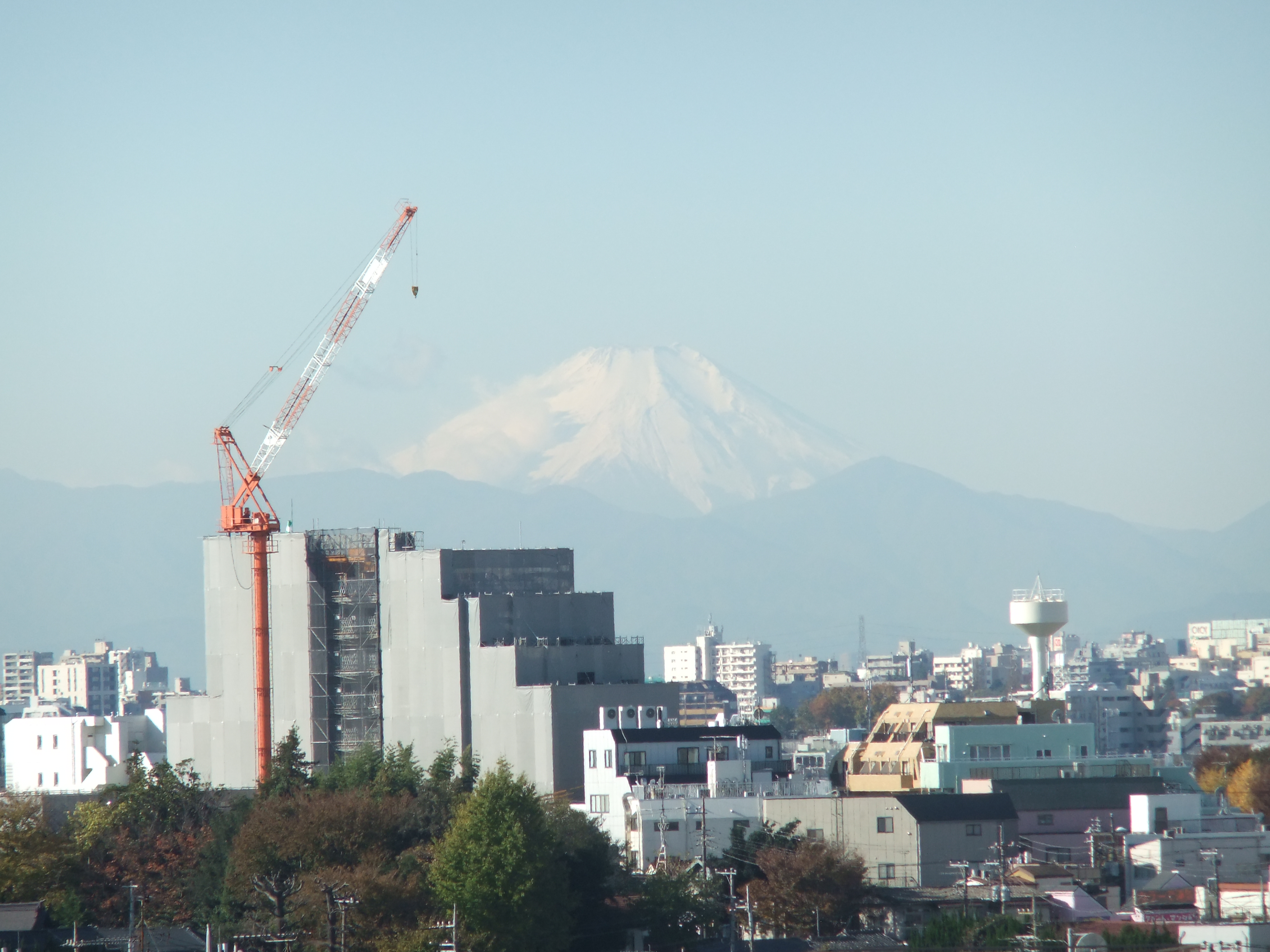 DSCF7701.JPG