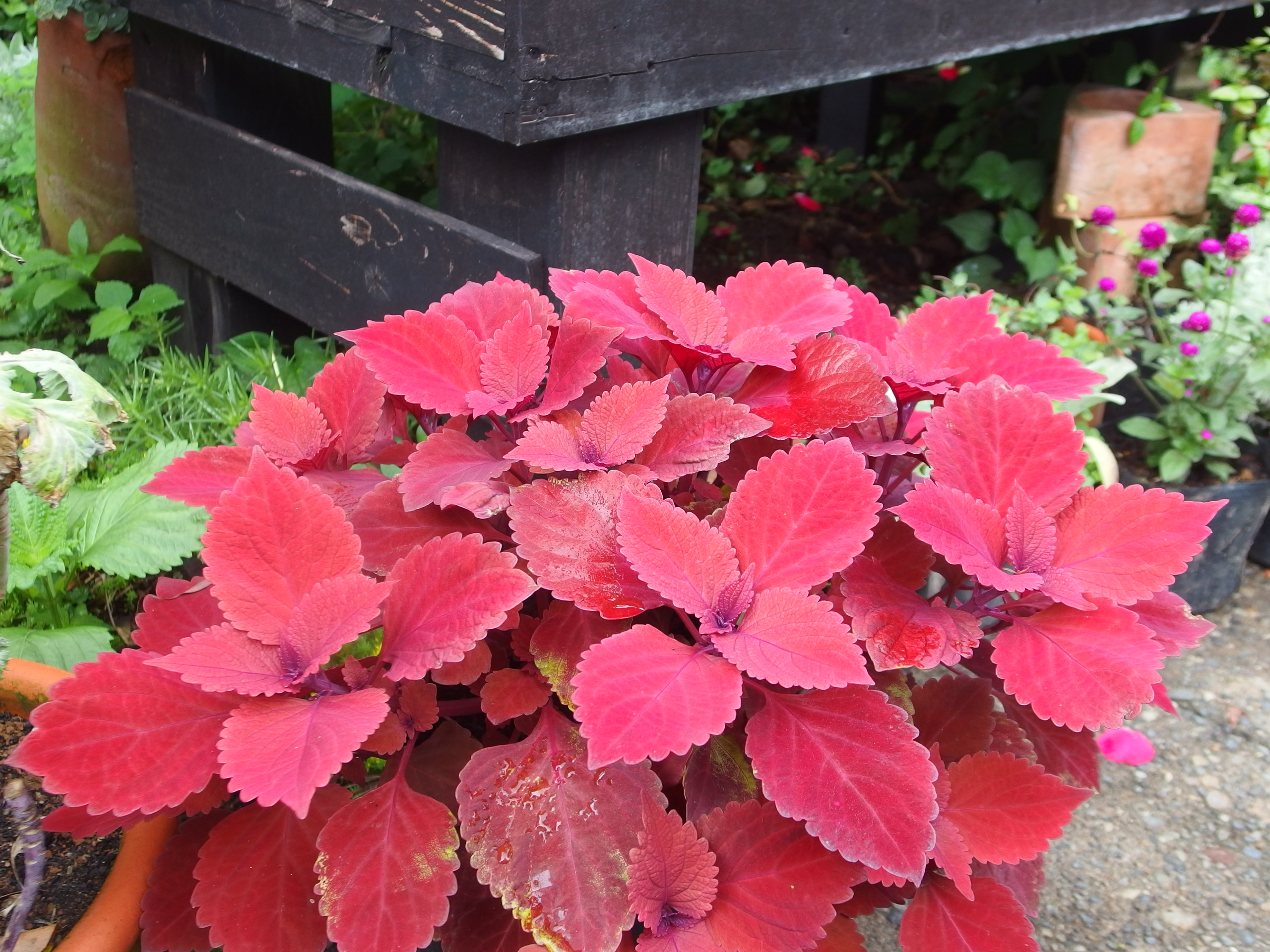 2015-06-27 15.20.35.jpg