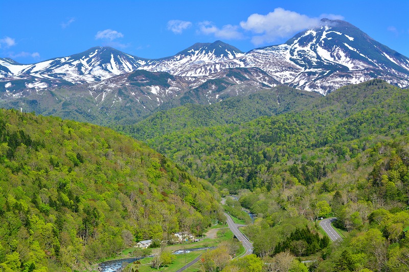 DSC_0039.jpg