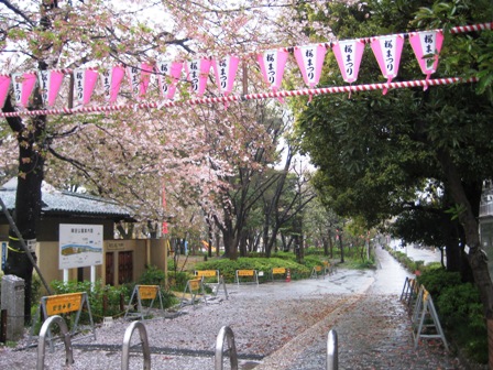 浅草卯月 050.JPG