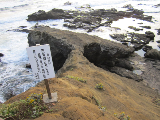 馬の背洞門の上部