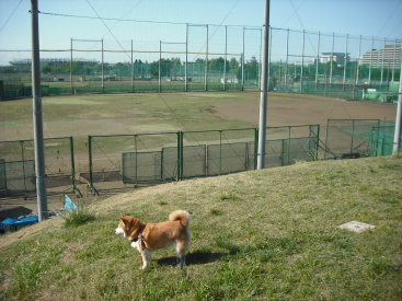 momo250507.JPG