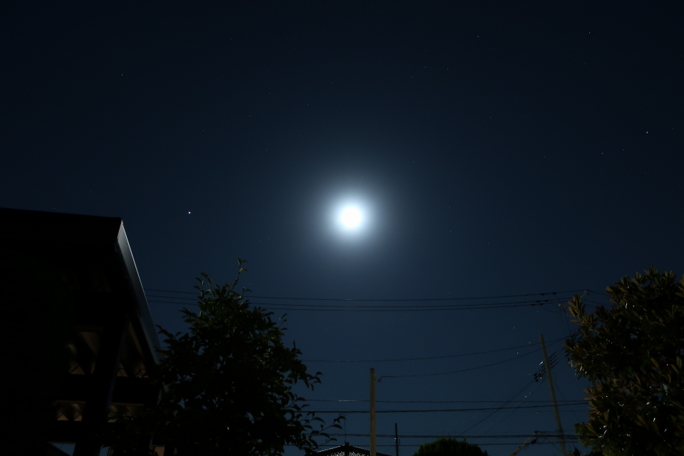IMG_6104s.JPG
