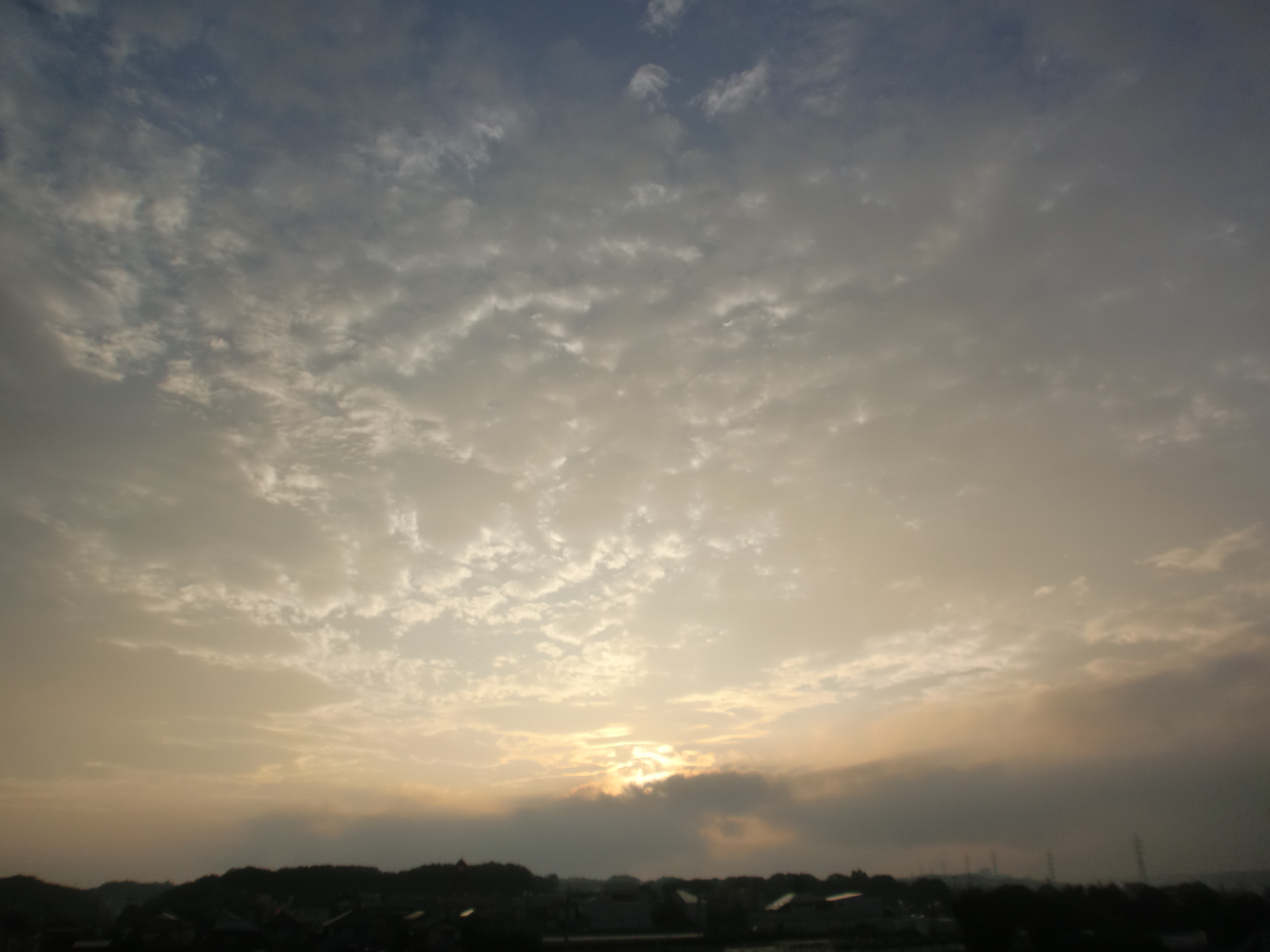 20130729 evening9 CIMG6198.JPG