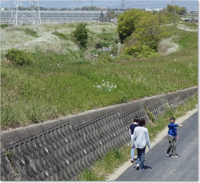 44川沿いの親子