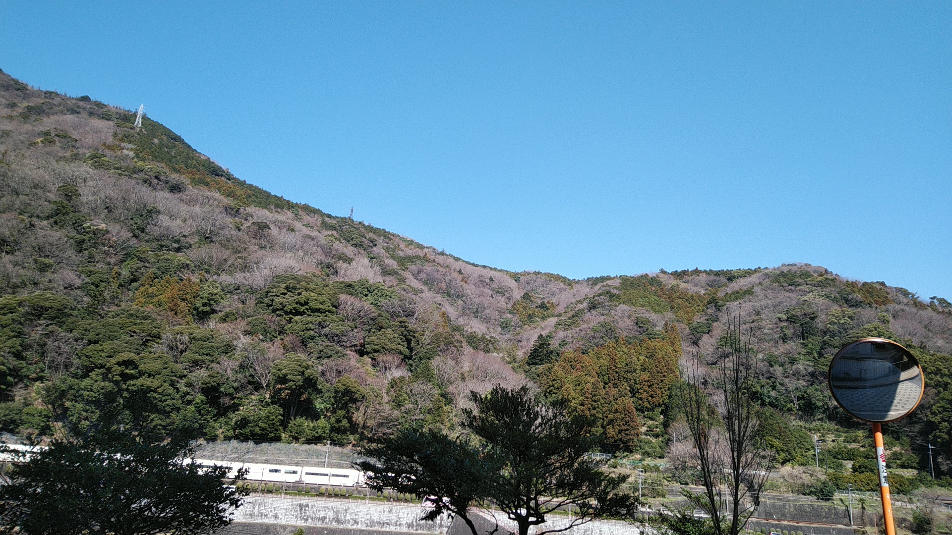 20190309  DSC_0008.jpg.jpg