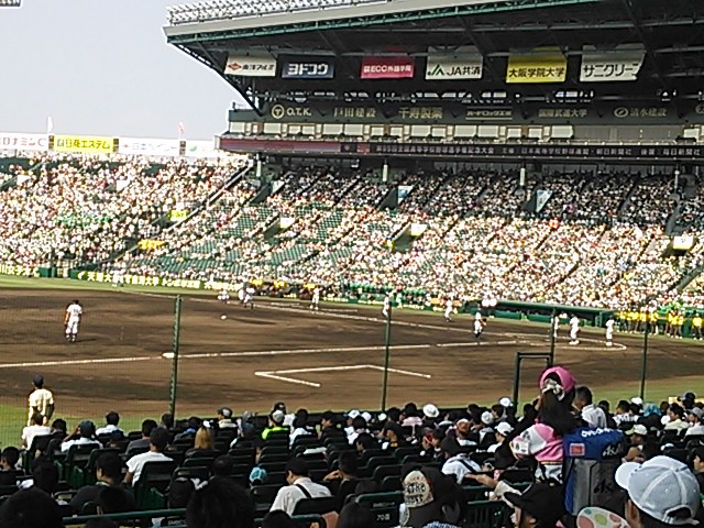 甲子園２.JPG