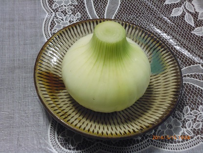 140516白玉初収穫.jpg