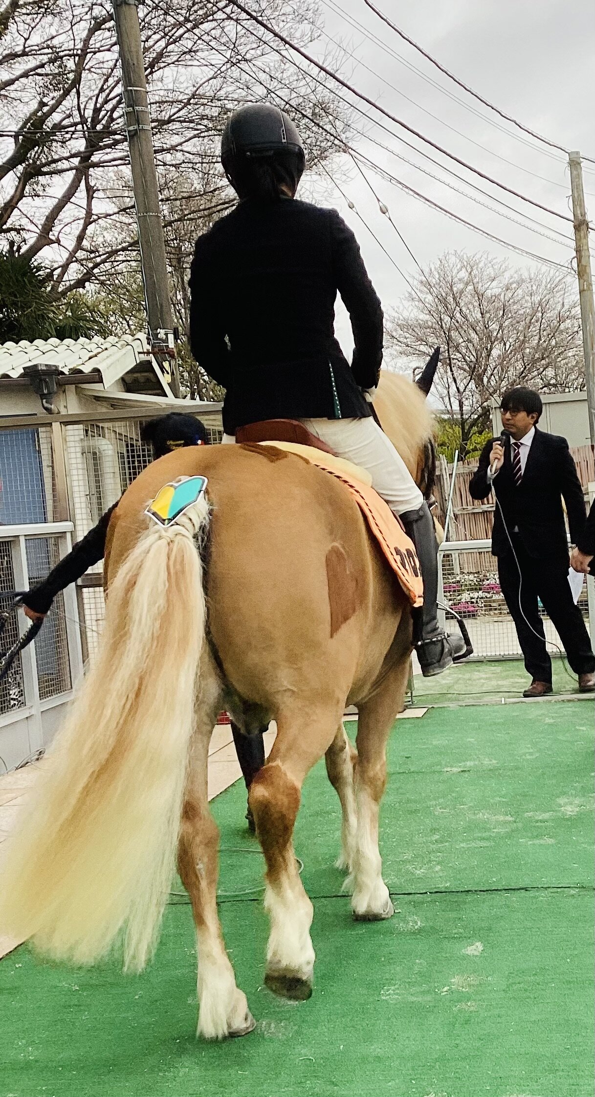 マカロン初日ｂ.jpg