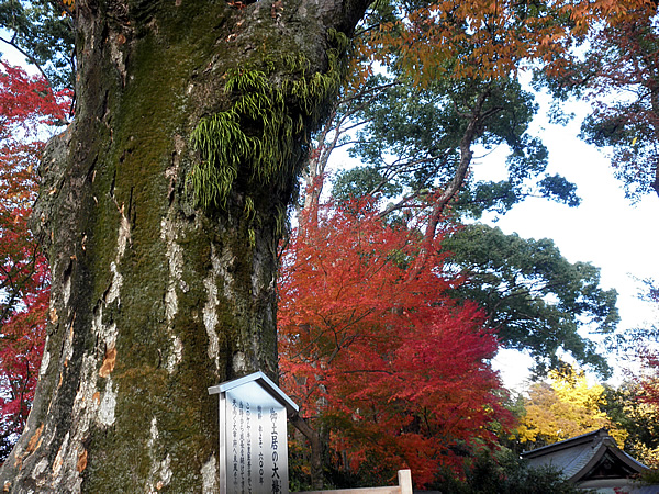 kitanotenmangu-5.jpg