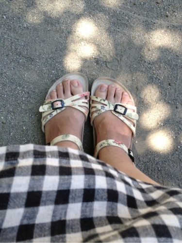 C:\fakepath\IMG_1565[1]