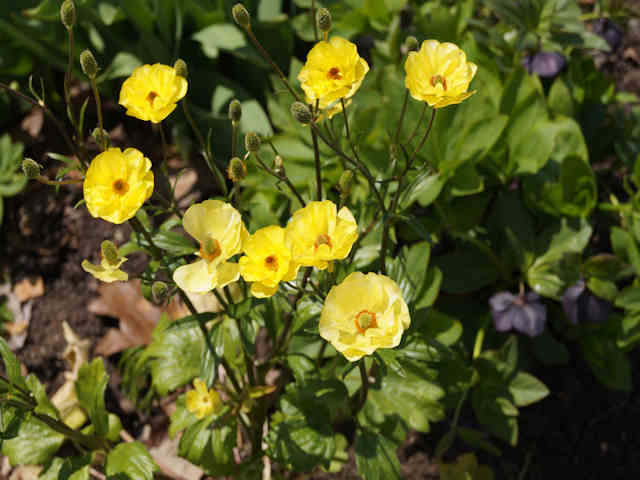 DSC06645.JPG