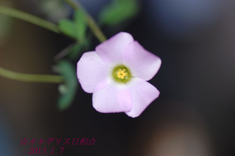 DSC_5729.JPG