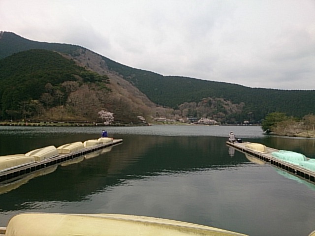 20150412  DSC_0011.jpg