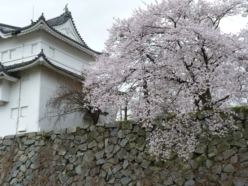 nagoyajyo-w024.jpg